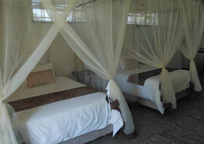Damfela eco lodge