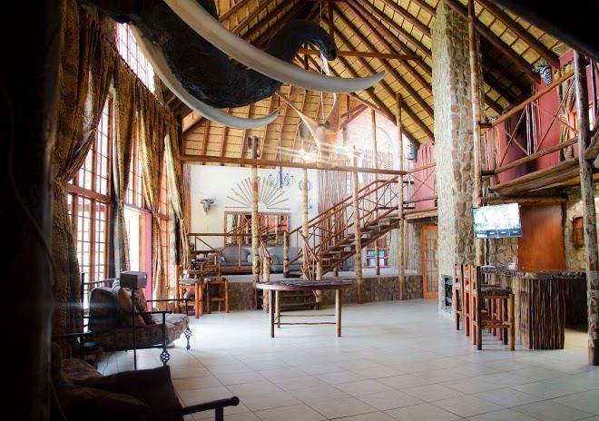Lazy lion lodge