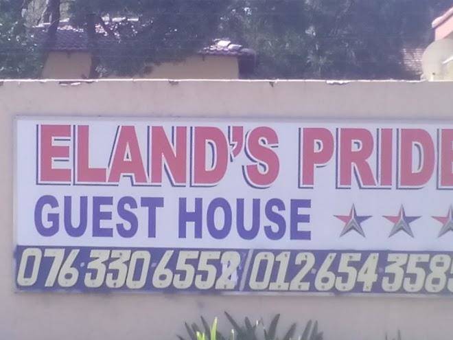 Eland's pride