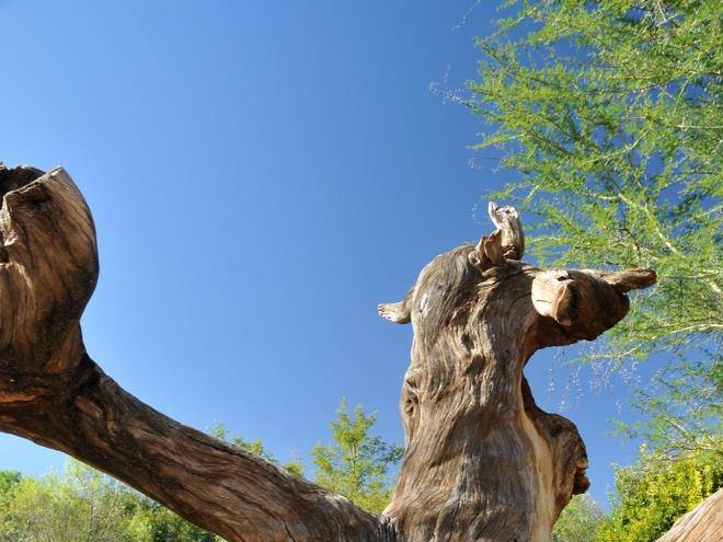 Kwalata game lodge in dinokeng game reserve