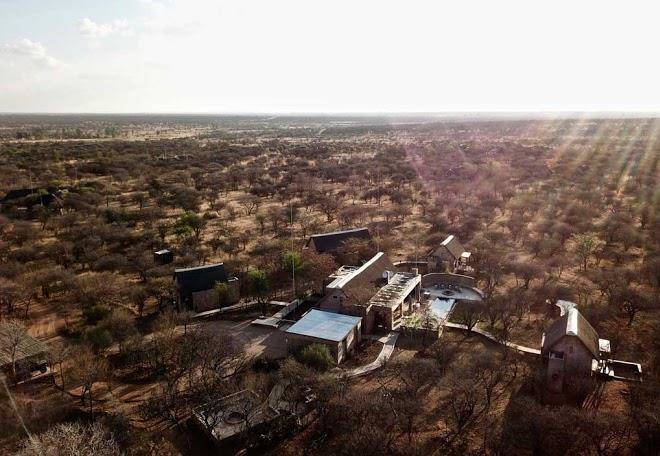 Ngala lodge