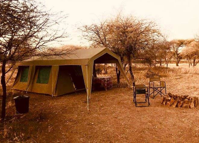 Ngiri safaris and scuba