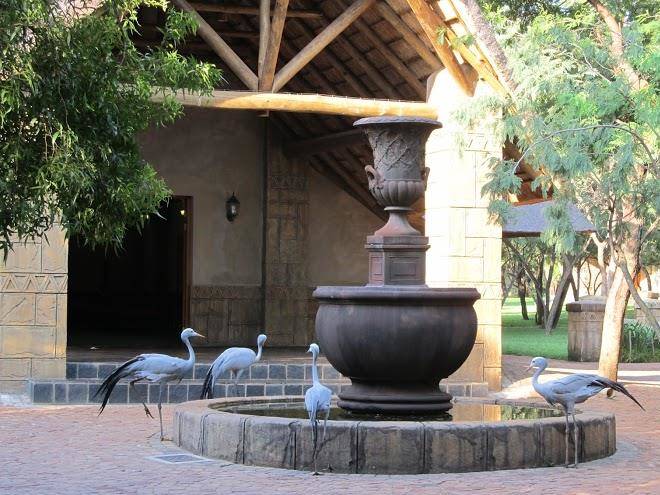 Pure joy guest lodge
