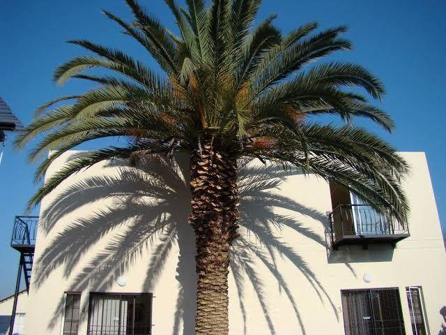 Louhallas accommodation