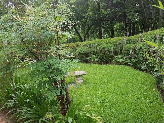 Ingwenya country escape