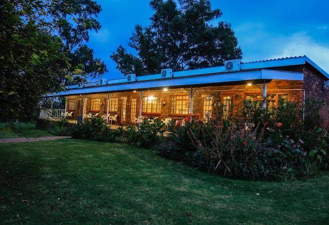 Grey goose game lodge