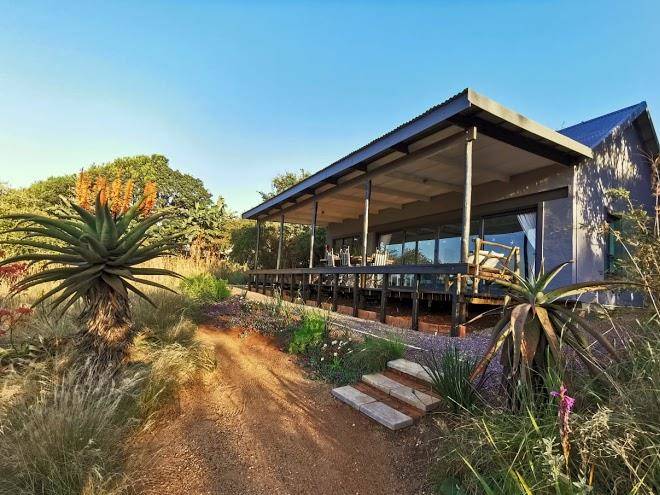 The bird hide