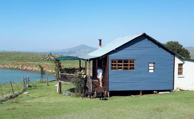 The tin shack