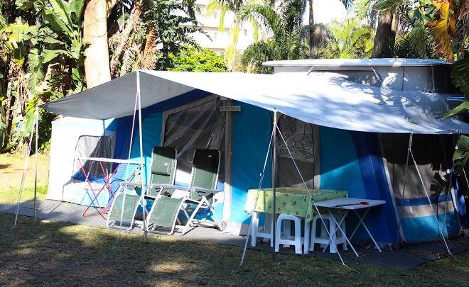Dolphin holiday resort