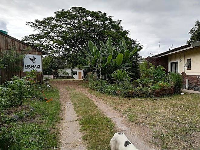 Nkwazi eco backpackers