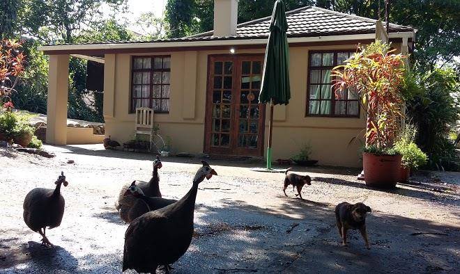 Mphushini falls resort