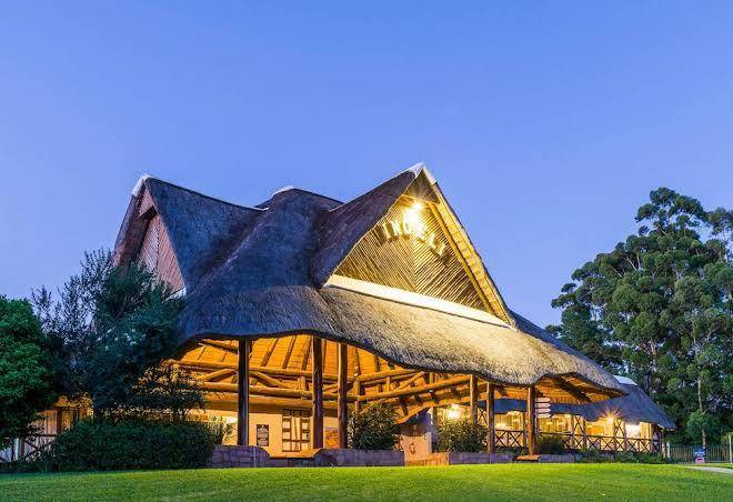 Anew resort ingeli forest