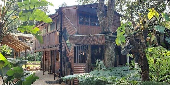 Forest river lodge