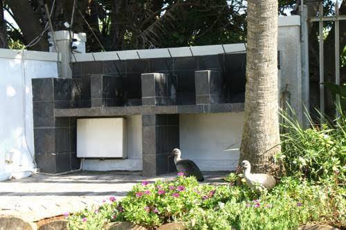 Mangrove beach estate