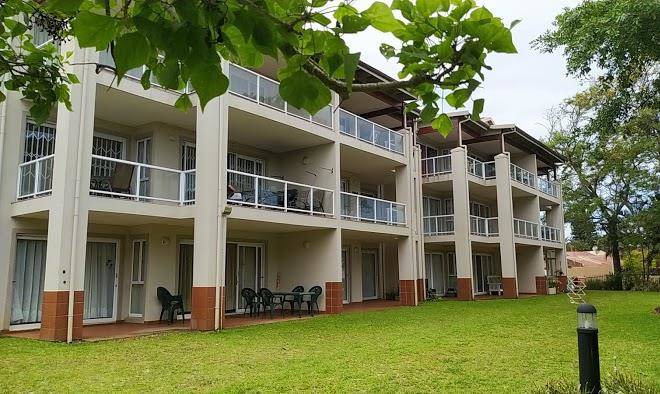 The Kingfisher Image