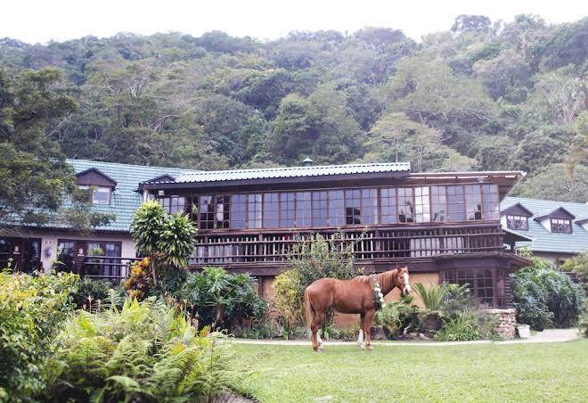 Umtamvuna river lodge