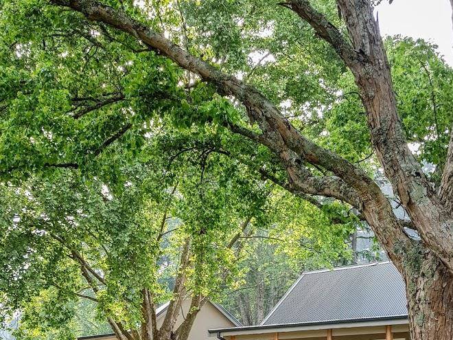 Bosch hoek lodge