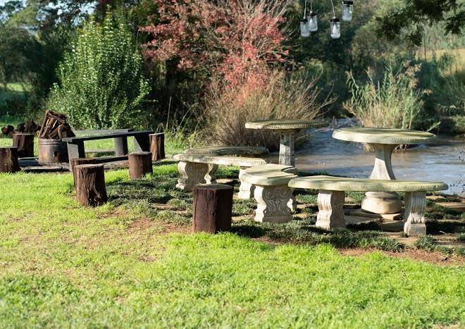Clydesdale On Lions River Image