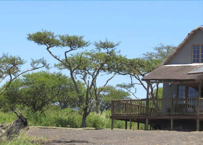 Ukuthula lodge