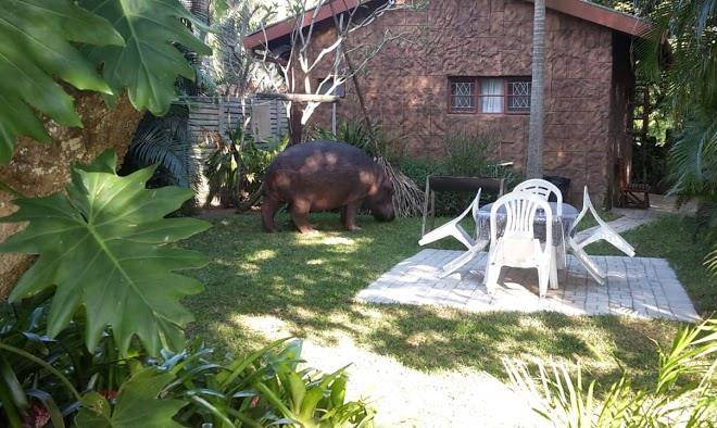 Accommodation lake st lucia lodge