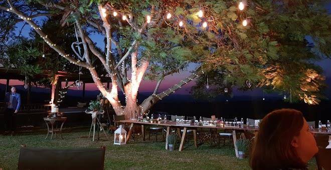 Bayete zulu lodges