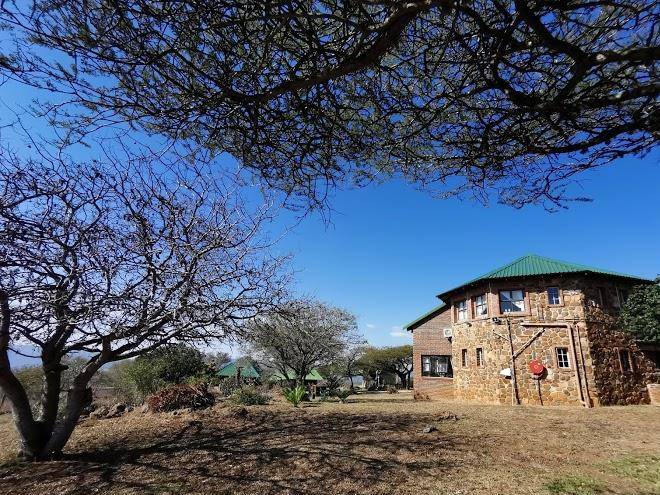 Buffalo hill safari lodge