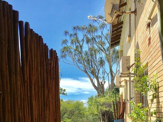 Ingwenya lodge