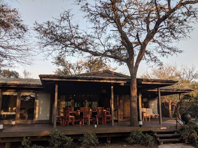 Toad tree lodge