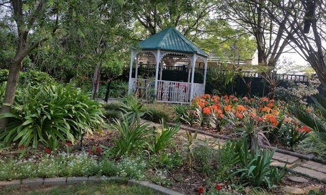 Clivia place