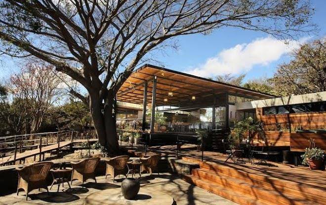 Fugitives drift lodge