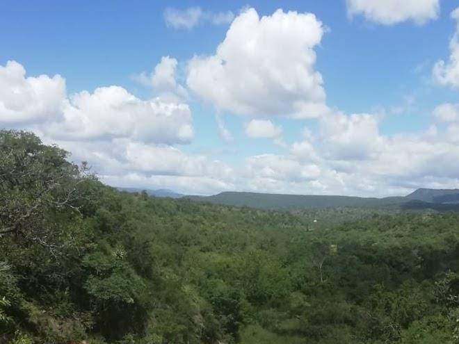 Glenwood safaris