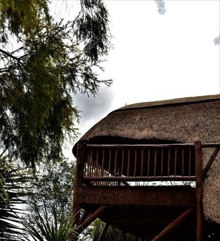 Amaka private game reserve