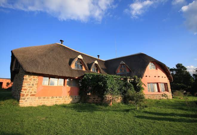 Antbear farm stay