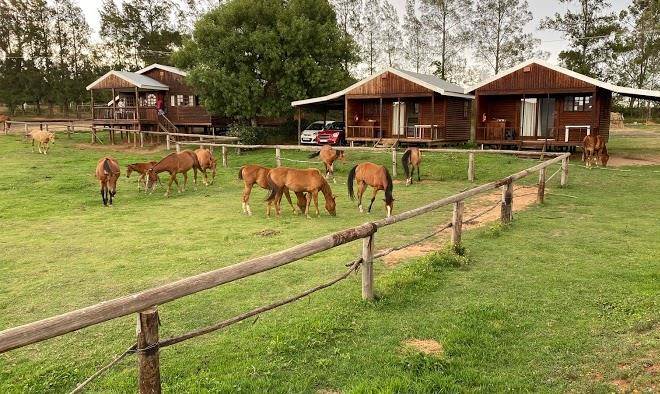 Blue haze country lodge & conference centre