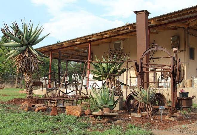 Drakensberg bush lodge and backpackers