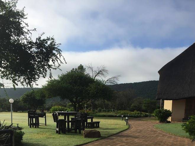 The owl and elephant lodge