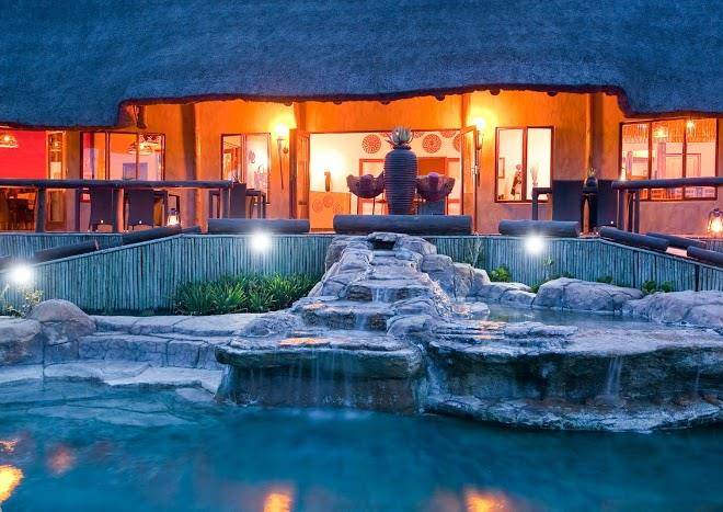 The springbok lodge