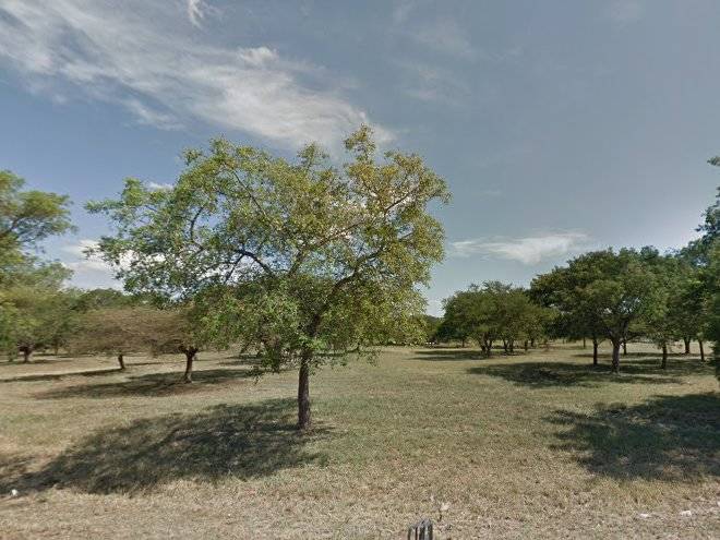 Everything Elephants Image