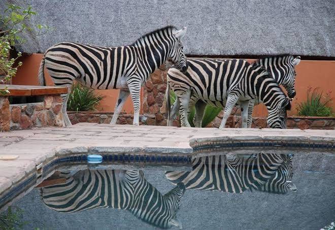 Blyde river canyon lodge