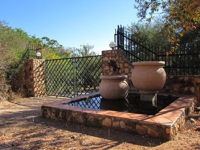 Mali mali safari lodge