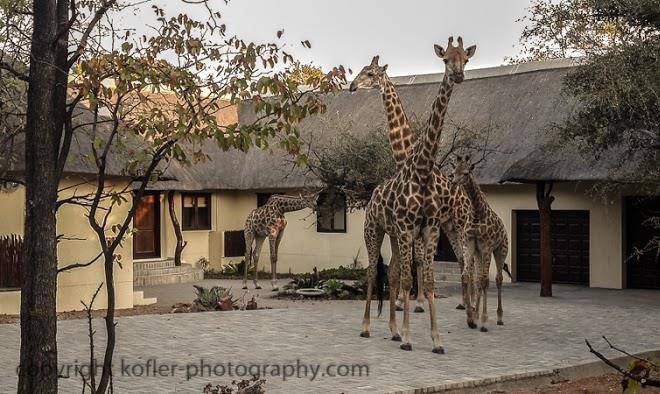 Matimba bush lodge