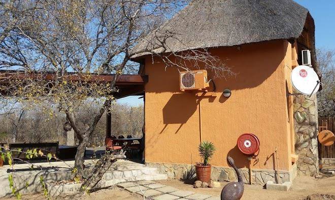 Mushi maningi