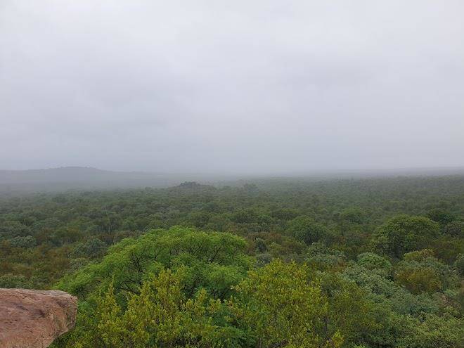 Ndzalama wildlife reserve