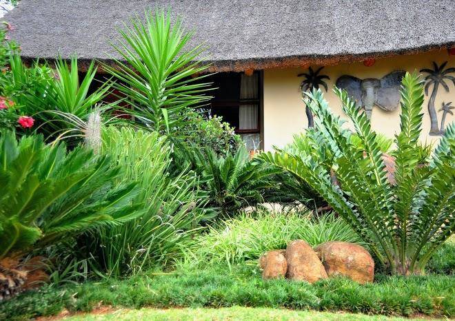 Palmwag Tzaneen Image