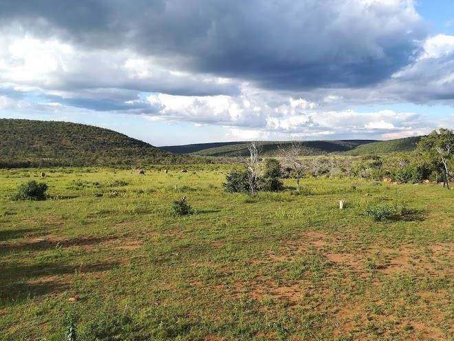 Ibhubesi private game lodge