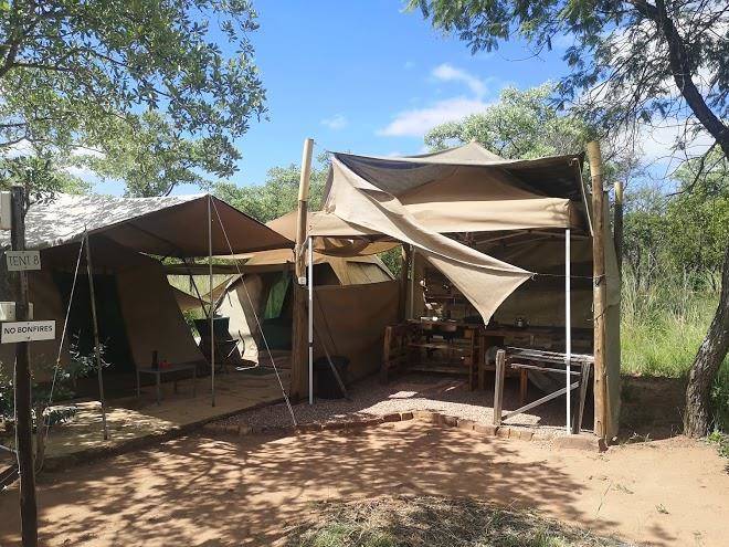 Lady africa bush lodge