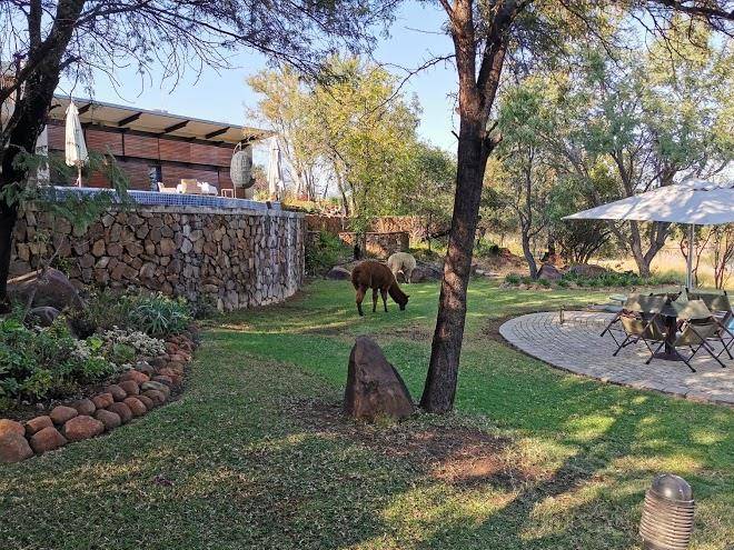 Silver stream lodge & spa
