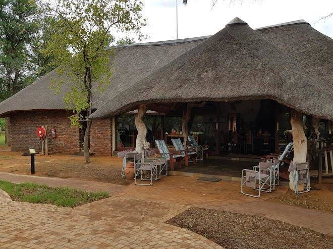 Temba safari