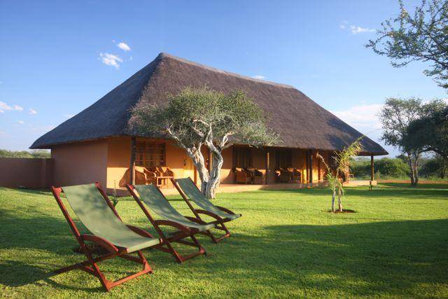 The hunter's dream safari