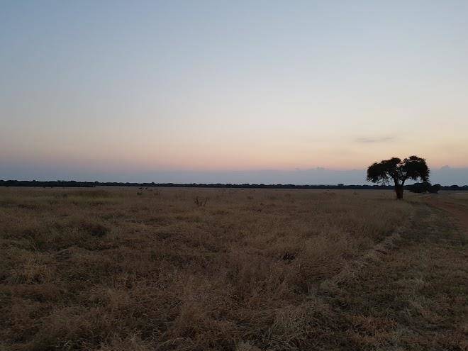 Ubique game ranch